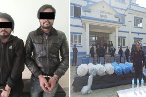 सुनसरीबाट २५० केजी गाँजासहित दुई जना पक्राउ