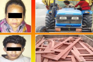 उदयपुरबाट अवैध काठका फर्निचरसहित दुई जना पक्राउ