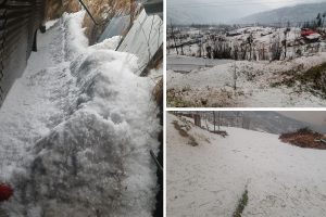 धनकुटामा भीषण असिना पानी: करोडौंको बाली छिनभरमै स्वाहा, सडक र विद्युत अवरुद्ध