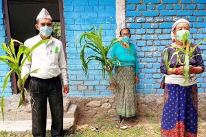 बेलबारीमा बाली शिविर, चार सयबढी कृषक लाभान्वित