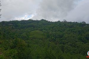 धनकुटाको राम्चे गाउँमा घरैपिच्छे विरामी, पुराणमा भेला हुँदा कोरोना फैलिएको आशंका
