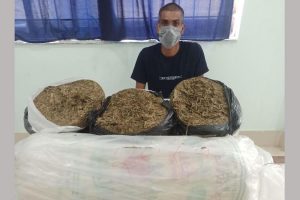 सुनसरीको भण्टावारीबाट १६५ किलो गाँजासहित एक जना पक्राउ