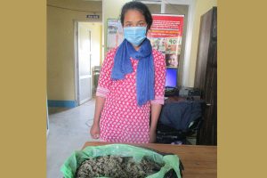 उदयपुरबाट गाँजासहित भोजपुरकी युवती पक्राउ