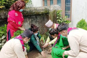 स्थापना दिवसमा बृक्षारोपण