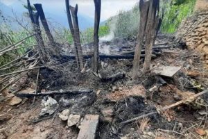 लाइटर खेलाउँदा गोठमा आगलागी, मामाघर आएकी बालिकाको जलेर मृत्यु