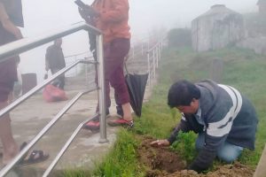 धनकुटाको हलहले पटेक डाँडामा युवाहरुले गरे बृक्षारोपण