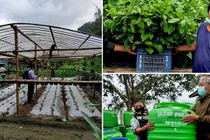 सहिदभूमिका कृषकलाई बिउ विजन, टंकी र पाईप प्रदान