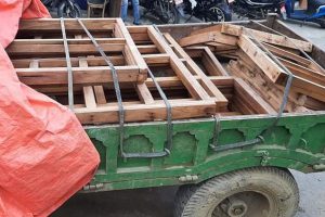 धनकुटामा लुकाएर लैजादै गरेको अबैध काठ बरामद, गाडी र चालक पनि नियन्त्रणमा