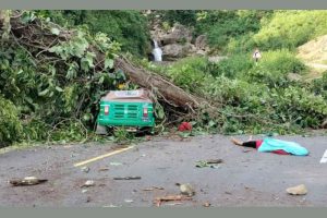 घुम्न गएका बेला रुखले किच्दा महिलाको मृत्यु, श्रीमानसहित तीन घाइते