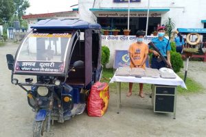 सिटी सफारी चालक गाँजासहित पक्राउ