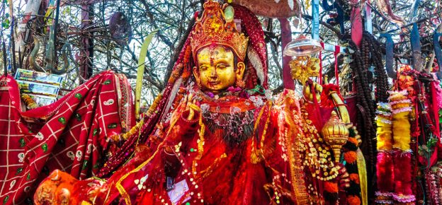 ताप्लेजुङको पाथीभरामा ४६ लाख भेटी सङ्कलन