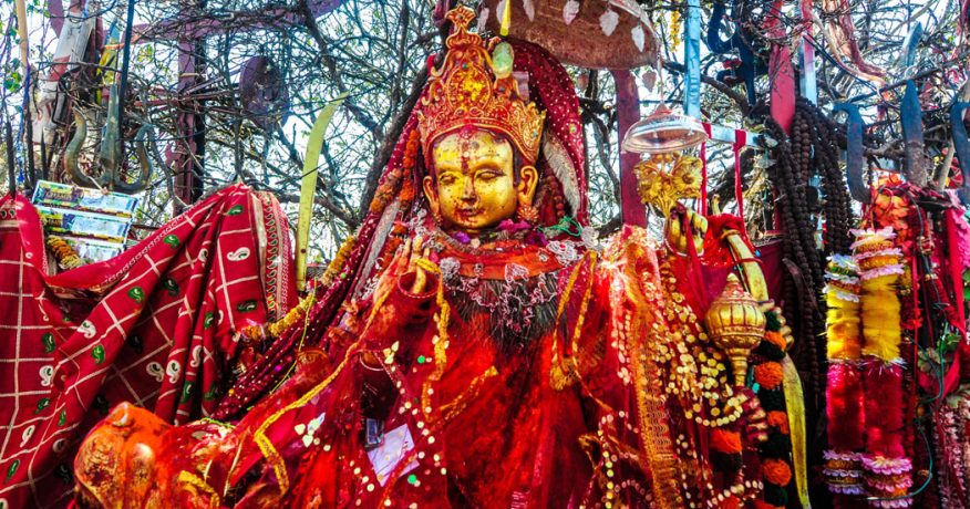 ताप्लेजुङको पाथीभरामा ४६ लाख भेटी सङ्कलन