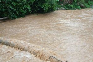 धनकुटाको चौविसेमा खोलाले बगाउँदा बृद्धको मृत्यु