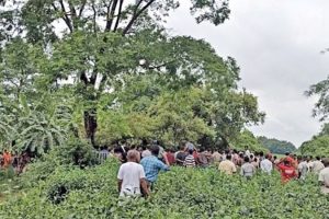 झापामा एउटै रुखमा झुण्डिएको अवस्थामा भेटिए तीन किशोरी