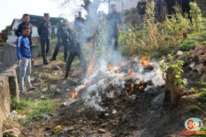 जलाएर नष्ट गरियो १०६ किलो गाँजा