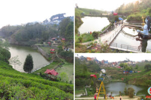 तस्वीरमा यस्तो देखियो पाख्रीवासको सिमसार क्षेत्र (फोटो फिचर)