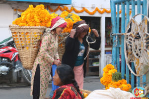 फूलै फूलको मौसम (तस्वीर)