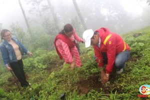 सामुदायिक वन दिवसको अवसरमा धनकुटामा वृक्षरोपण