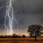 चट्याङ लागेर बाबु-छोराको मृत्यु