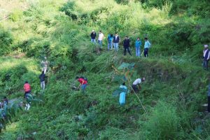 धनकुटामा संविधान दिवसको अवसरमा वृक्षरोपण