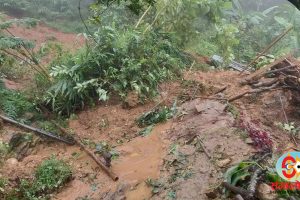 एमाले कोशीद्वारा राहत, उद्धार र पुनःनिर्माणमा जुट्न सरकारको ध्यानाकर्षण