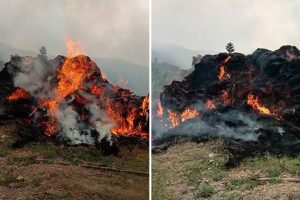 च्याउ फर्ममा लागेको आगो तीन घण्टापछि नियन्त्रण