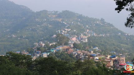 कार्यसम्पादन मूल्याङ्कन : धनकुटाका कुन पालिकाले कति अंक पाए ?