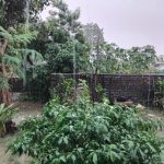 आज राति कोशी र बागमती प्रदेशका केही स्थानमा अति भारी वर्षाको सम्भावना