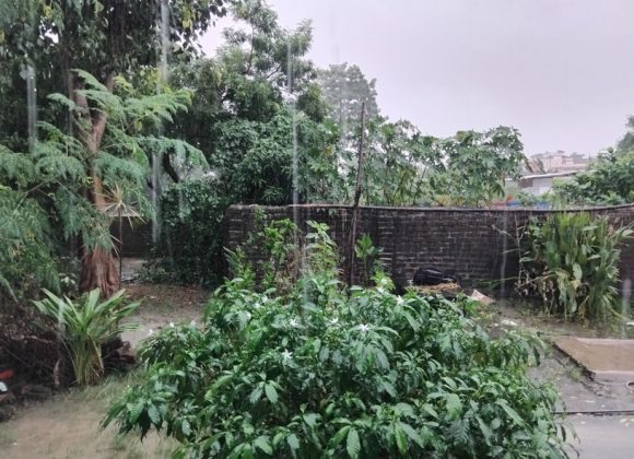 मुसलधारे वर्षाको सम्भावना देखिएपछि उच्च सतर्कता अपनाउन इलाम प्रशासनको आग्रह