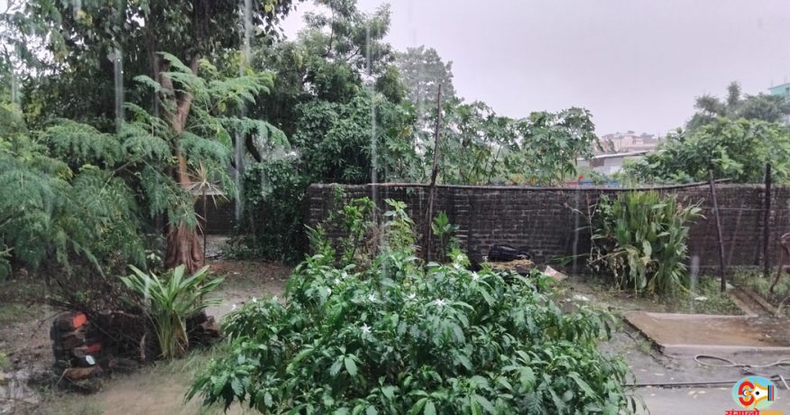 आज राति कोशी र बागमती प्रदेशका केही स्थानमा अति भारी वर्षाको सम्भावना