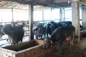 धनकुटामा ब्याज अनुदान कार्यक्रम भएन प्रभावकारी 