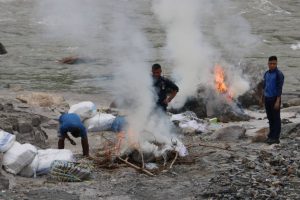 धनकुटामा एक हजार किलो गाँजा जलाएर नष्ट