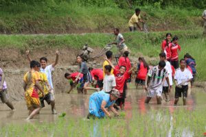 धनकुटामा ४७ प्रतिशत रोपाइँ हुन बाँकी