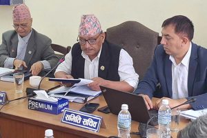 अबदेखि जुनसुकै विषय पढेकोले पनि शिक्षक लाइसेन्स पाउने