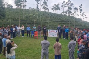 धनकुटामा वृक्षारोपण तथा सरसफाइ गरेर मनाइयो विश्व वातावरण दिवस