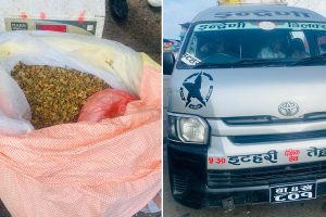 भेडेटारमा हायस गाडीभित्र भेटियो ४० किलो सुर्ती, चालक पक्राउ