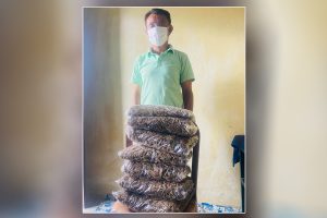 धनकुटाबाट सात किलो गाँजासहित एक जना पक्राउ