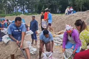 कोशीमा वाईसीएलको श्रमदान : वृक्षारोपणदेखि बाँध निर्माणसम्म