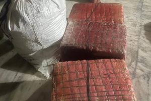 सुनसरीबाट ६० किलो गाँजा बरामद