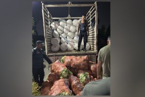 मोरङको कटहरीमा तरकारी लोड भएको ट्रकभित्र भेटियो ३१ सय किलो गाँजा