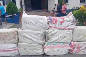 मोरङको धनपालथानबाट तीन सय २३ किलो गाँजा बरामद