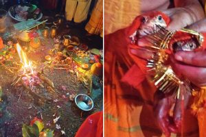 मोरङको सुनवर्षीमा भ्यागुताको झ्याँइझ्याँइ बिहे !