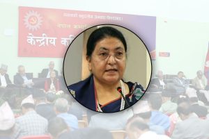 रोकियो पूर्वराष्ट्रपति भण्डारीको राजनीतिक यात्रा