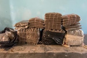 सुनसरीको धरानबाट ७२ किलो गाँजासहित पाँच जना पक्राउ