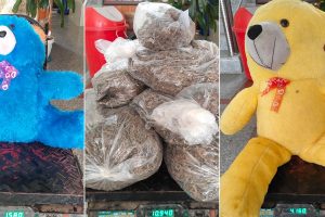 धरानबाट पोखरा जाँदै गरेको बसमा गुडियाभित्र गाँजा, धनकुटाका राई पक्राउ