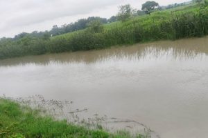 मोरङको बुढीगंगामा नहरले बगाउँदै गरेको अवस्थामा महिलाको शव फेला