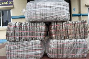 उदयपुरबाट खोला किनारमा बेवारिसे राखिएको कारबाट गाँजा बरामद