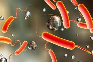 वीरगञ्जमा एक सय १५ जनामा हैजा सङ्क्रमण पुष्टि