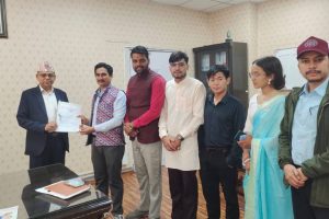 सवारी नम्बर प्लेटबाट देवनागरी लिपि नहटाउन देशभरबाटै ध्यानाकर्षण