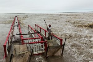 सप्तकोशीमा पानीको बहाव उच्च